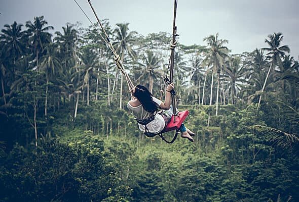 Socios img 06 free img