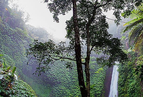 Socios img 07 free img