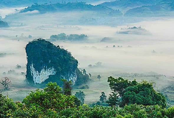 Socios img 08 free img