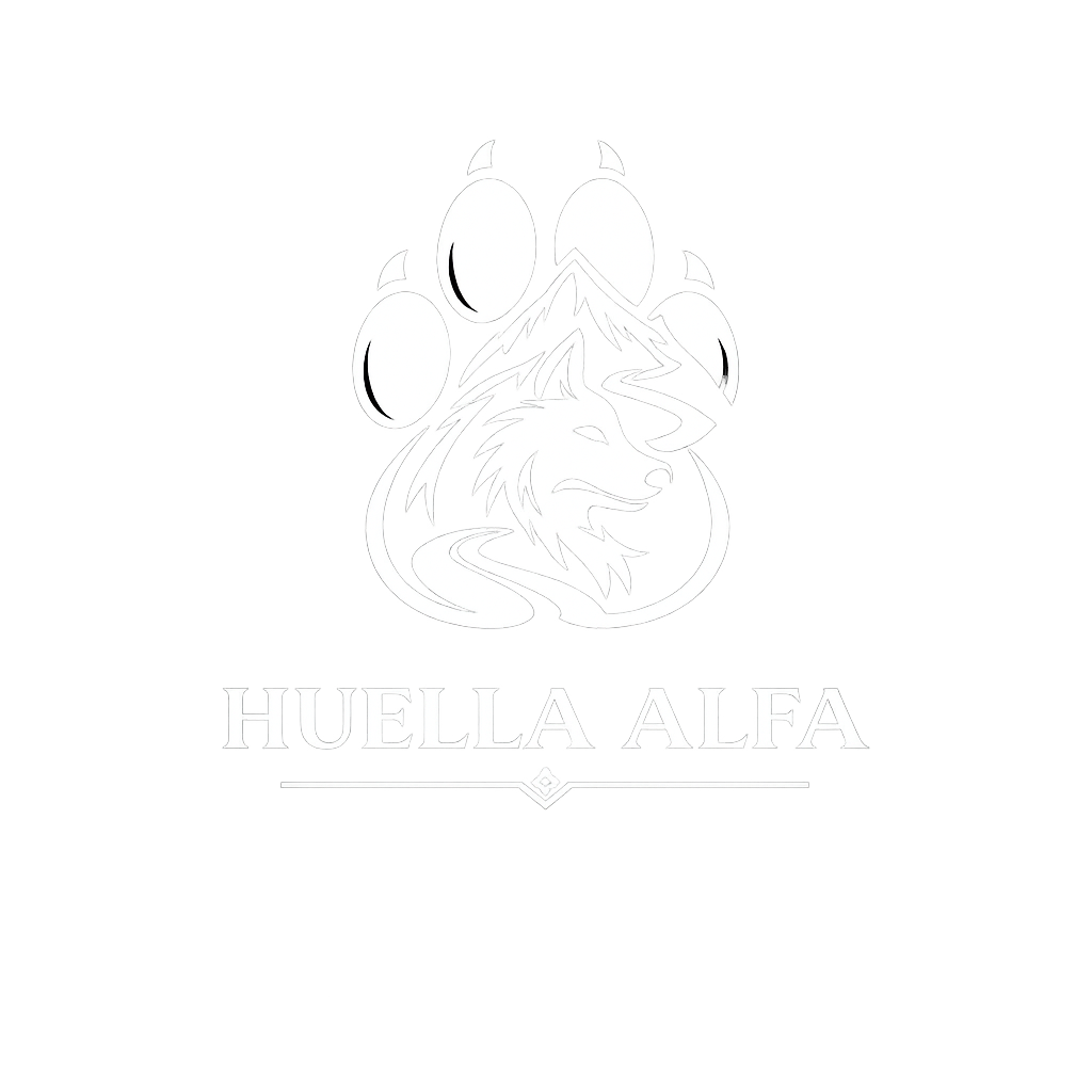 logo3